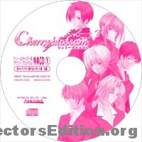 Sega Direct CD